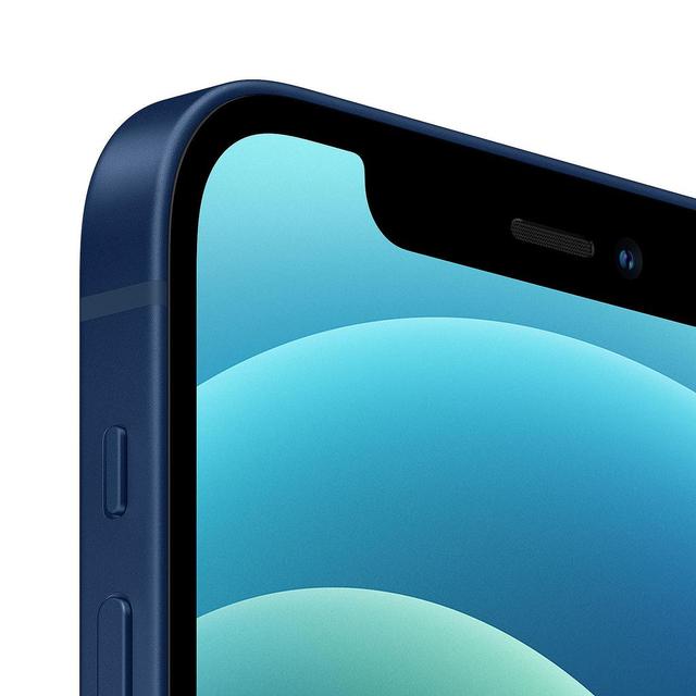 iPhone 12 Blau